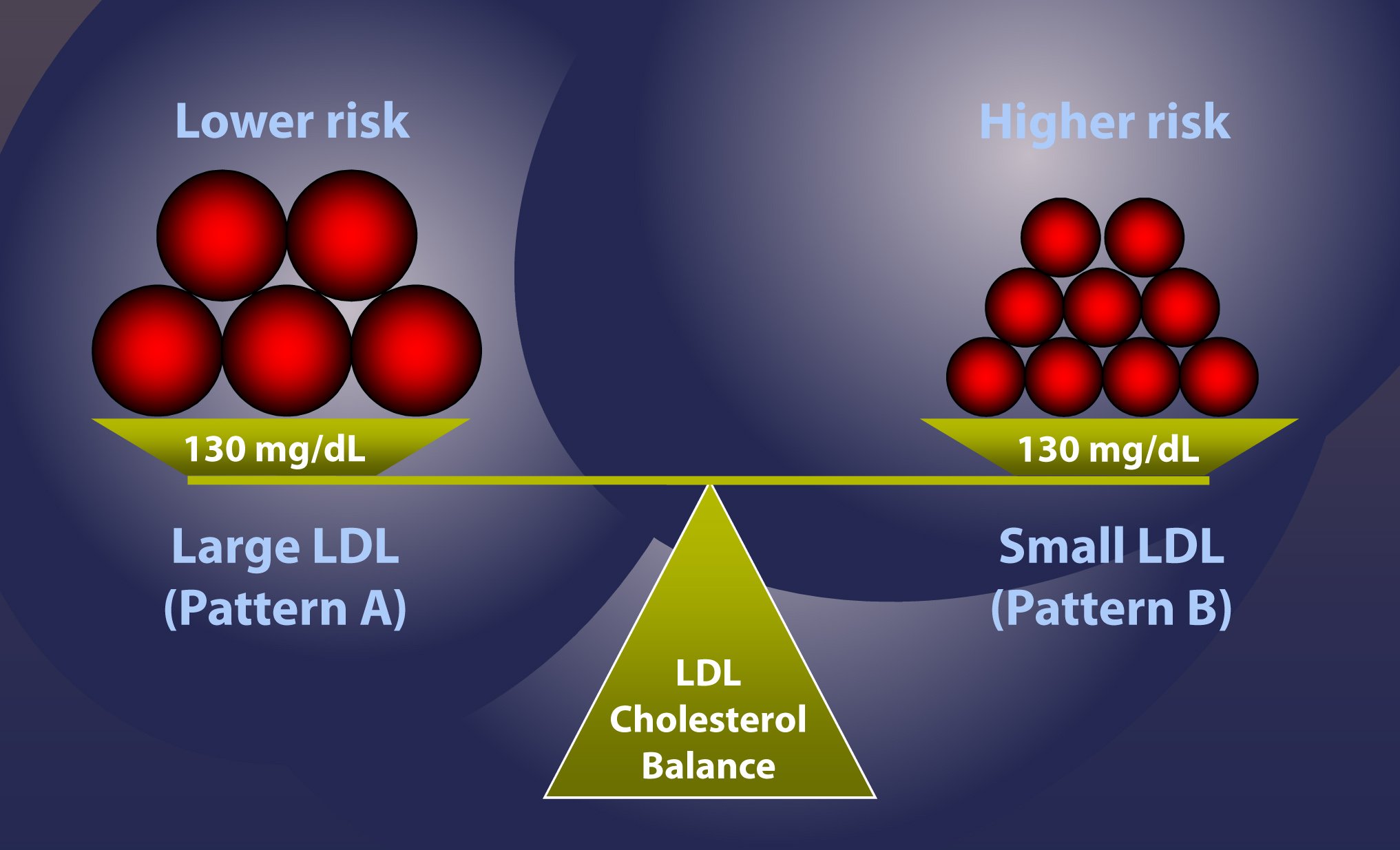 small and large LDL particles