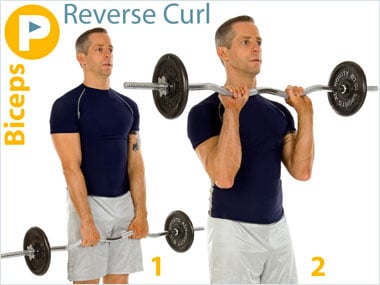 reverse curls